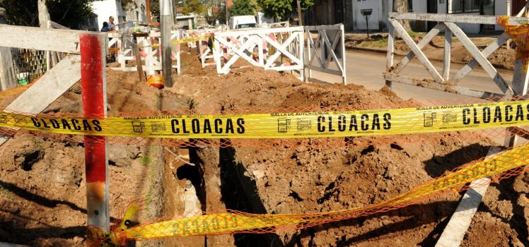 cloaca