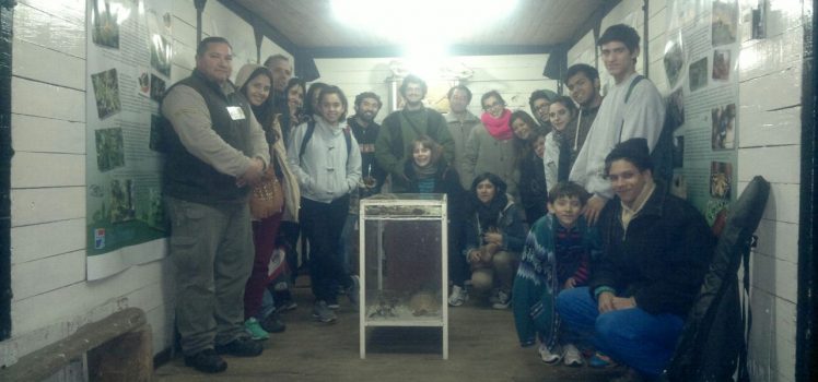visita